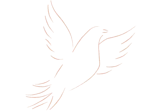 becasue you care icon unsubscribe Because You Care