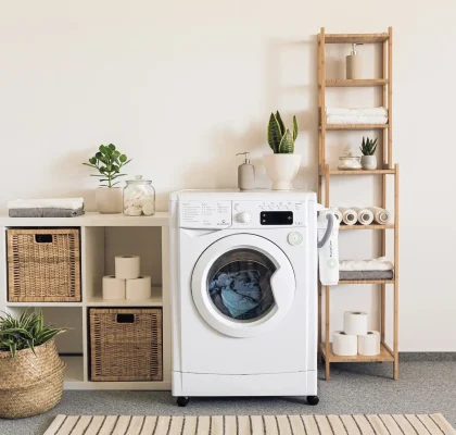 Endocrine Disruptors