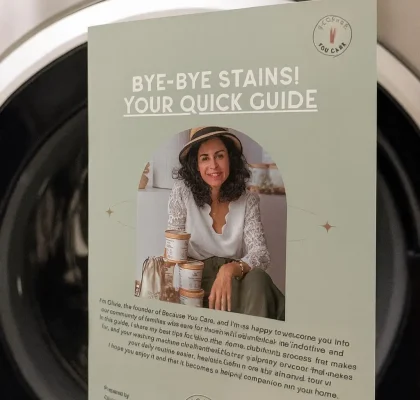 Quick Guide - Bye Bye Stains
